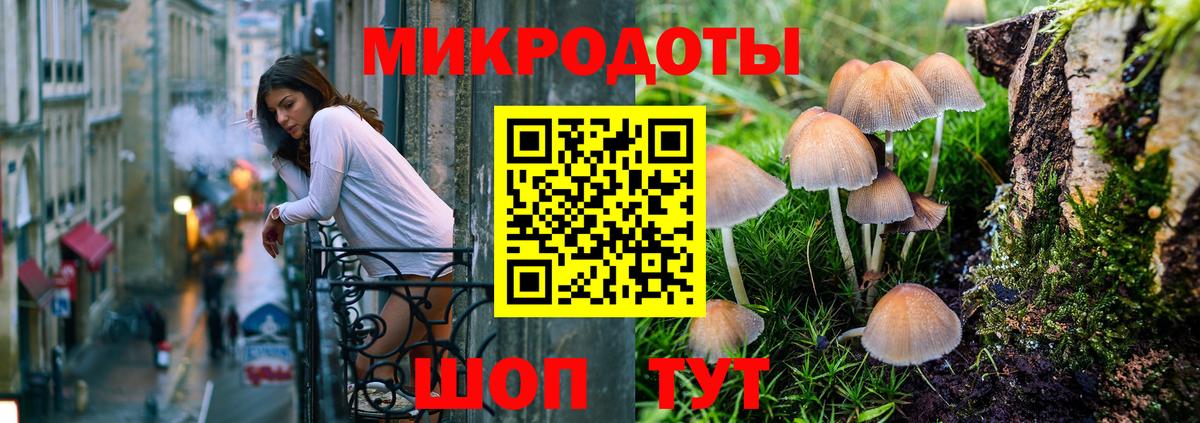 Брянск  Псилоцибиновые грибы мухоморы  Вход с VPN  Псилоцибиновые грибы Psilocybe 