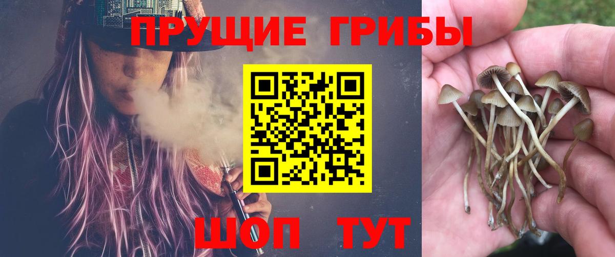 Галлюциногенные грибы мицелий Брянск